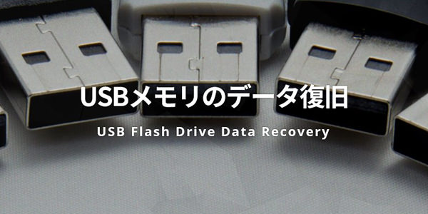 USBメモリのデータ復旧料金｜データ復旧サービス WinDiskRescue｜くま 